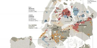 New York City etniciteit kaart